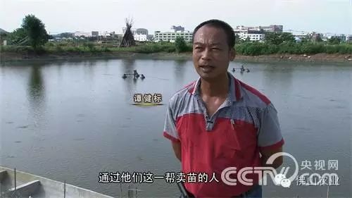 致富经养鱼一年多赚1000万_致富养鱼视频_养鱼致富经