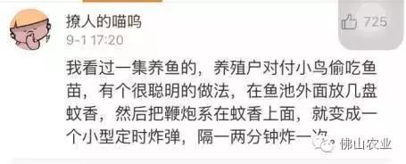 致富经养鱼一年多赚1000万_养鱼致富经_致富养鱼视频