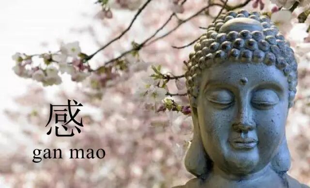 孩子感冒类型全集，看此一篇就够了