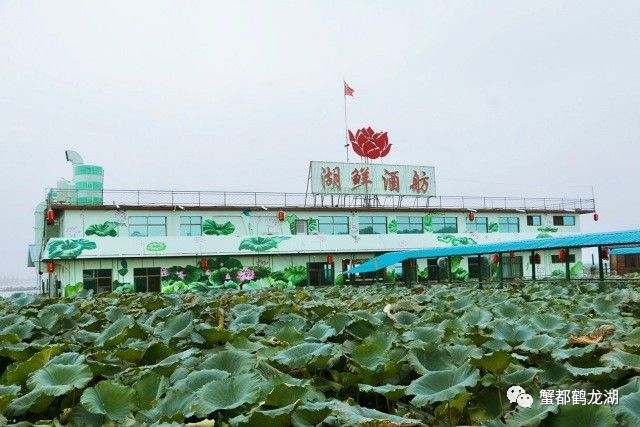 2017年度鹤龙湖镇湖鲜美食十大名店评选投票开始啦