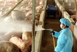 非洲猪瘟背景下的公共卫生安全防控怎么做？