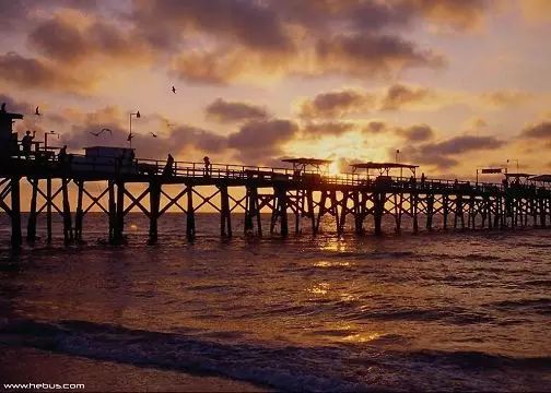 海滨音诗教案_海滨音诗 夏夜_海滨音诗