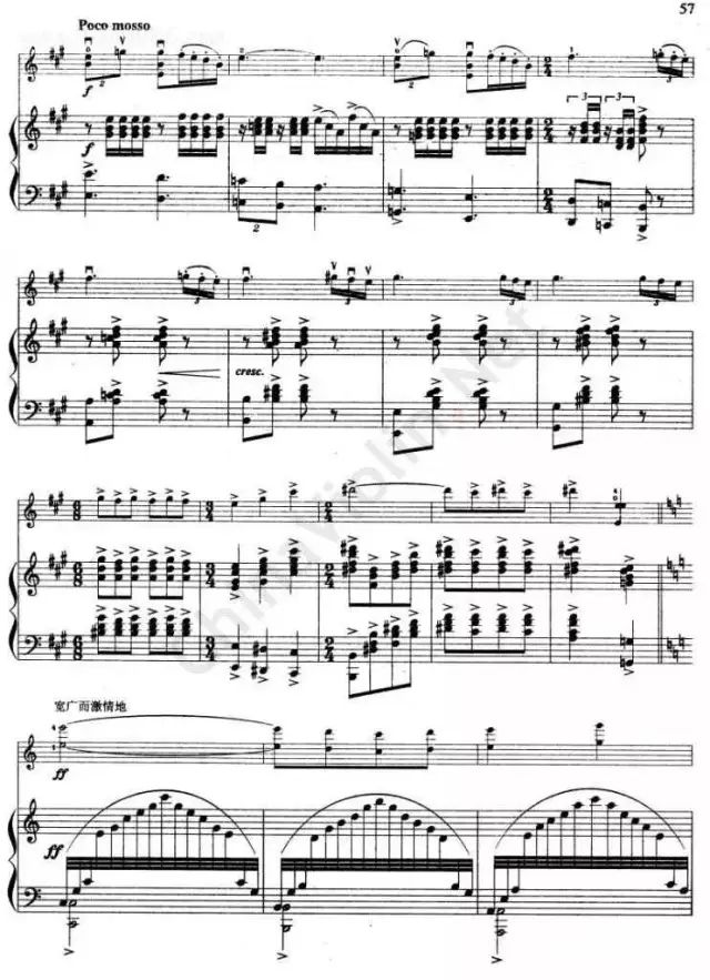 海滨音诗_海滨音诗教案_海滨音诗 夏夜