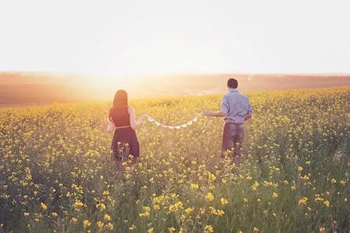 免费 女人和男人在黄色花瓣花田上行走 素材图片