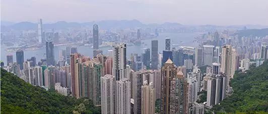 香港特别行政区区旗上是什么图案