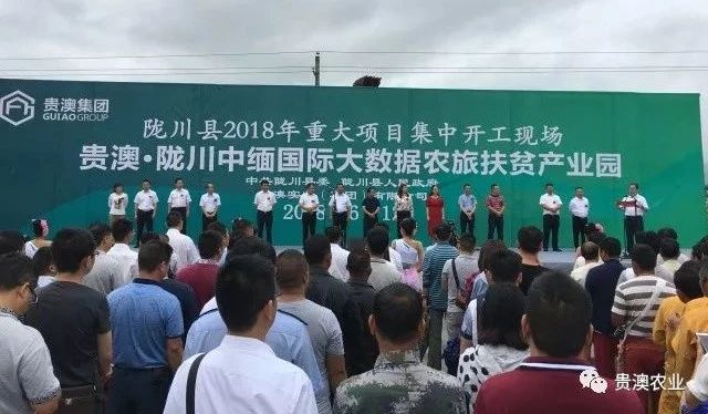 乐虎国际APP