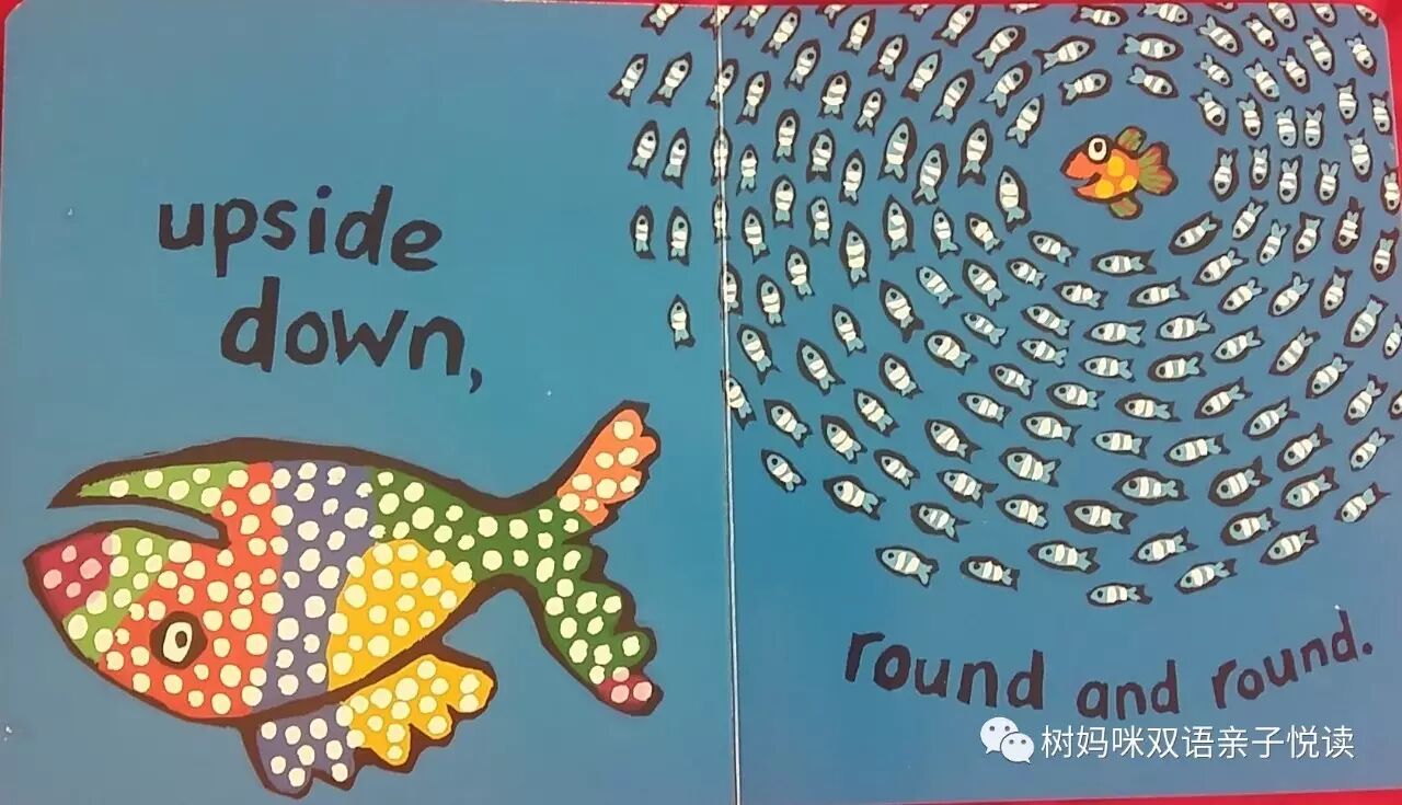 树树最爱的绘本之-Hooray <wbr>for <wbr>Fish！