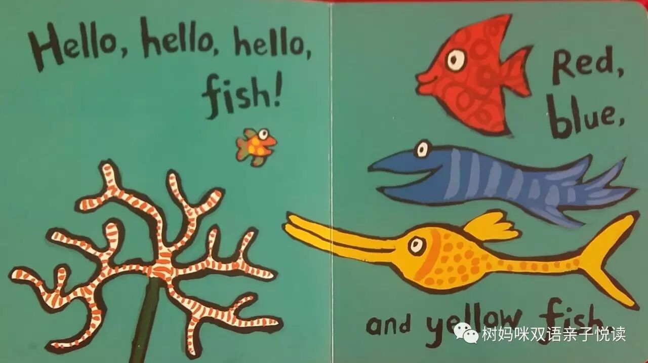 树树最爱的绘本之-Hooray <wbr>for <wbr>Fish！