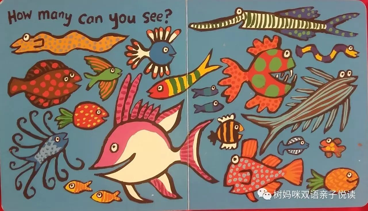 树树最爱的绘本之-Hooray <wbr>for <wbr>Fish！