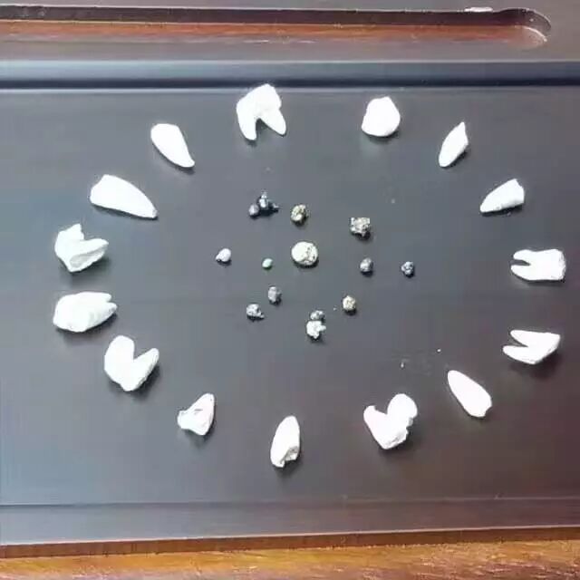 东林寺监院上德下亮法师往生纪实（附捡舍利图片）