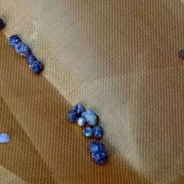 东林寺监院上德下亮法师往生纪实（附捡舍利图片）