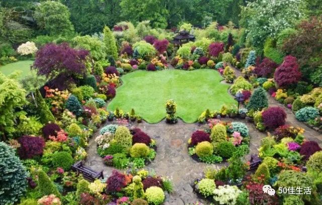 国外老人热衷园艺，又美又健康！