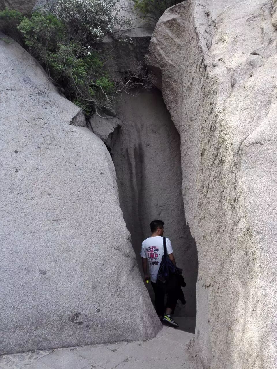 image-2