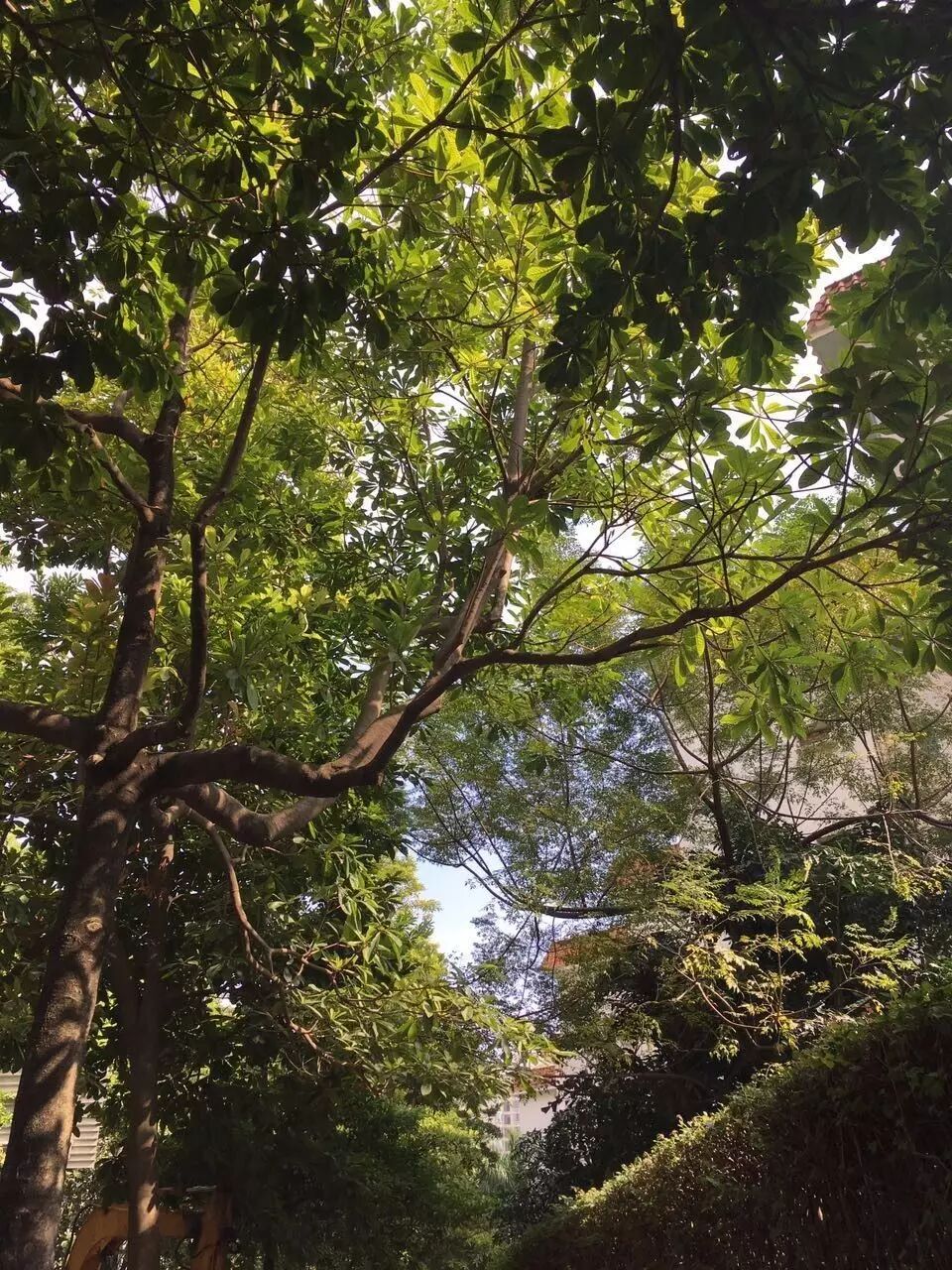 image-3