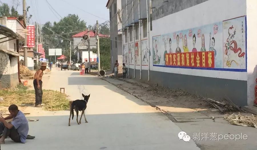 " 资料显示,上蔡县连续多年上榜国家级贫困县,上蔡县崇礼乡位于上蔡