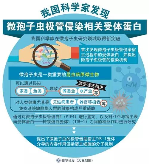 2.webp (1).jpg