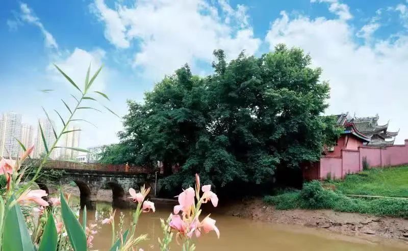 重庆市大足区龙岗云溪寺管理委员会