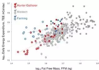 减肥运动有哪些项目_运动减肥_减肥运动操瘦全身
