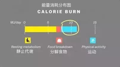 运动减肥_减肥运动有哪些项目_减肥运动操瘦全身