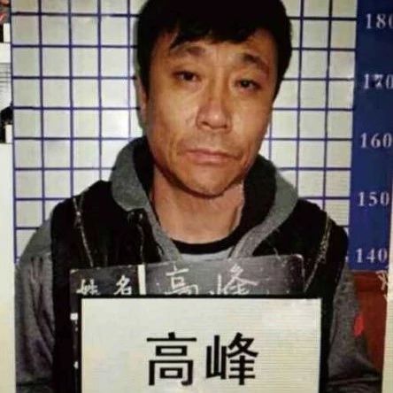 那英前男友高峰贩毒被捕,最高可判处死刑,儿子“高兴”近照曝光