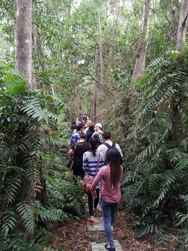 UQ 科学系，发现属于你的世界