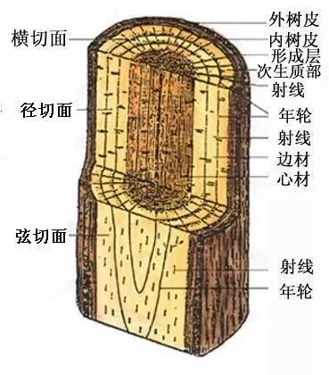 > 为什么红木家具存在色差  心材是树木中已不含生活细胞的中心部分