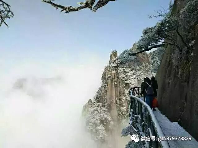 最佳三清山一日游线路推荐（适合自助游和老人带小孩）