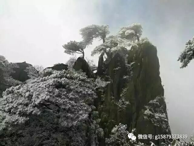 最佳三清山一日游线路推荐（适合自助游和老人带小孩）