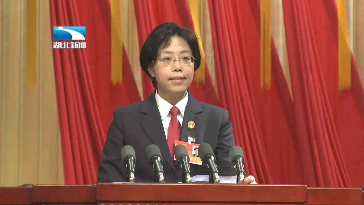 湖北省高级人民法院院长李静向大会作工作报告