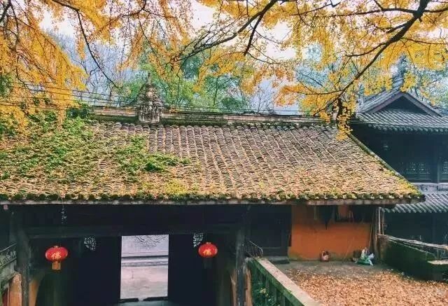 十二月的山城每一处都“色”到极致