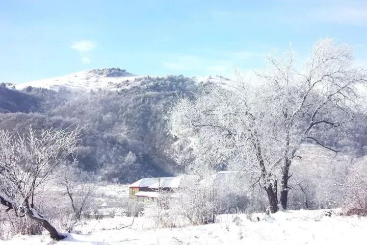 十二月的山城每一处都“色”到极致