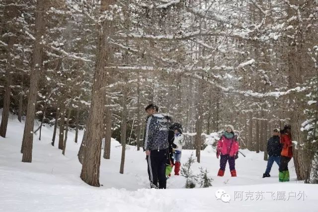 博孜墩柯尔克孜民族乡境内拥有著名的托木尔峰,神奇大峡谷,大型盐溶洞