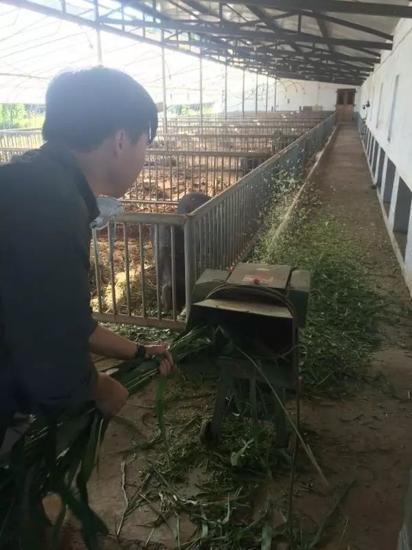 中央7台致富经_中央台致富经联系方式_中央致富频道直播