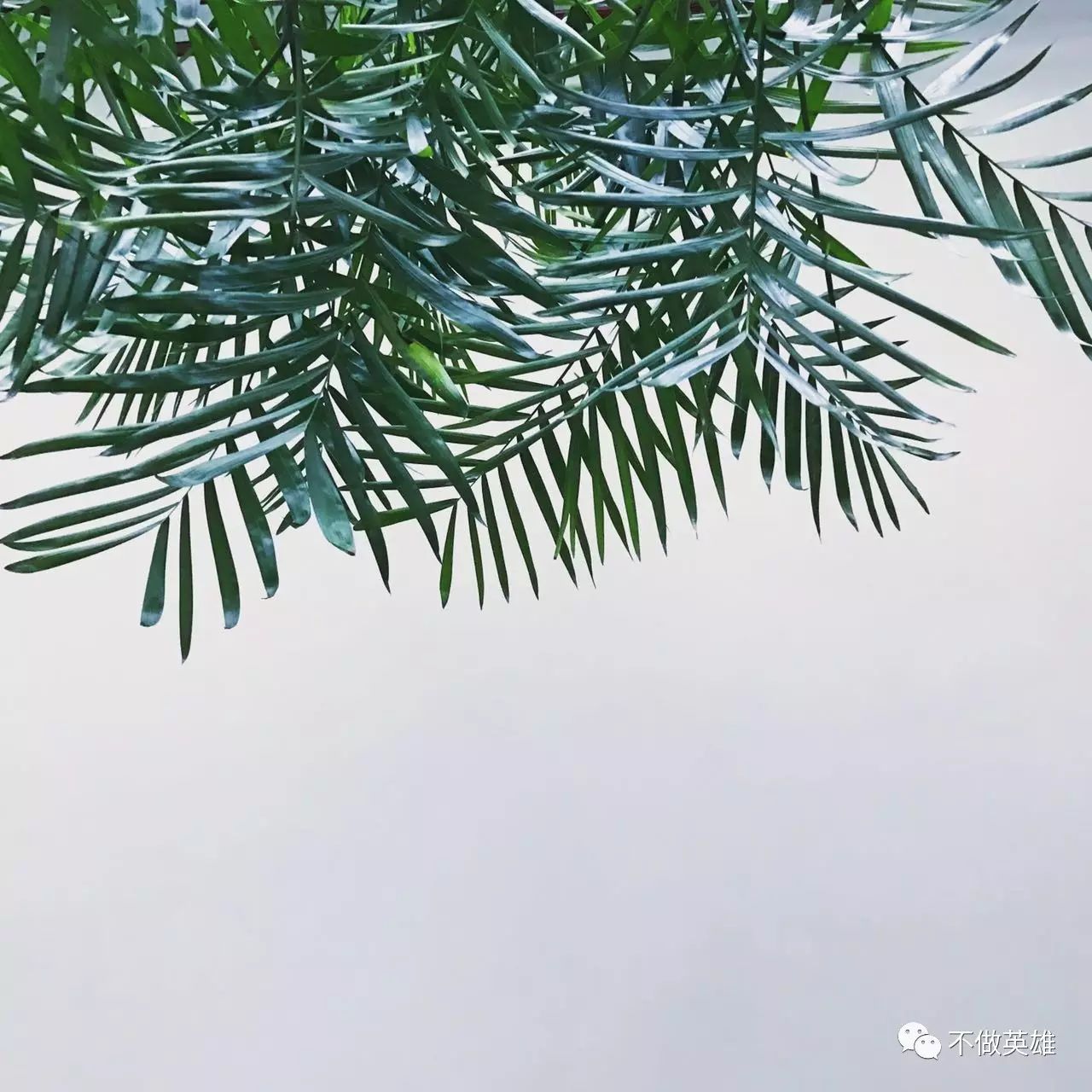 一些杂话