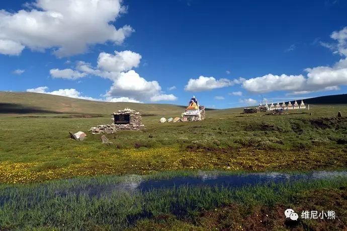 玉树州曲麻莱县麻多乡,约古宗列,母亲河诞生地