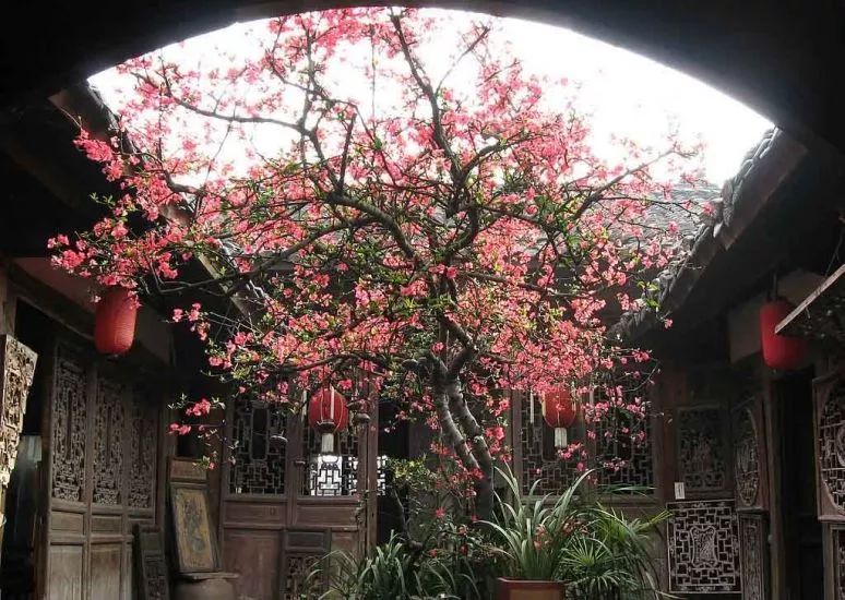 春色满园关不住,一枝红杏出墙来.