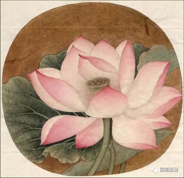 临宋画出水芙蓉图 国画荷花和露珠设色步骤