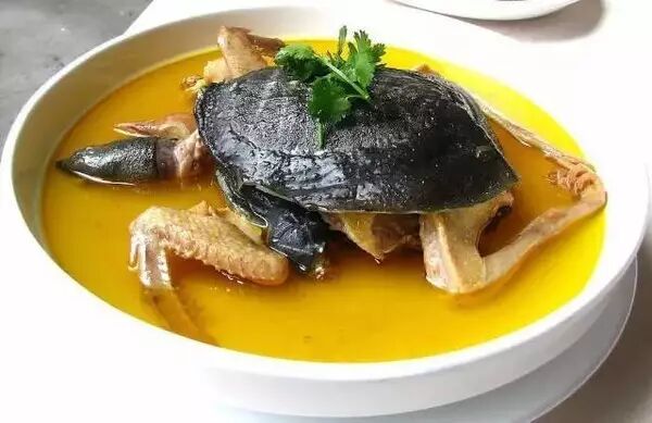 吃甲鱼，千万要注意这几点