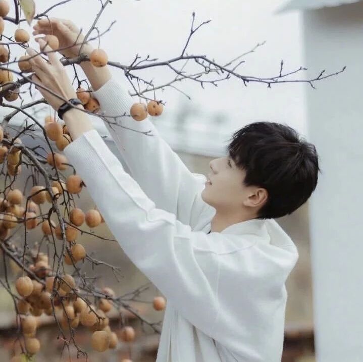 怎么也捧不红的胡冰卿,和胡一天合作会火嘛?