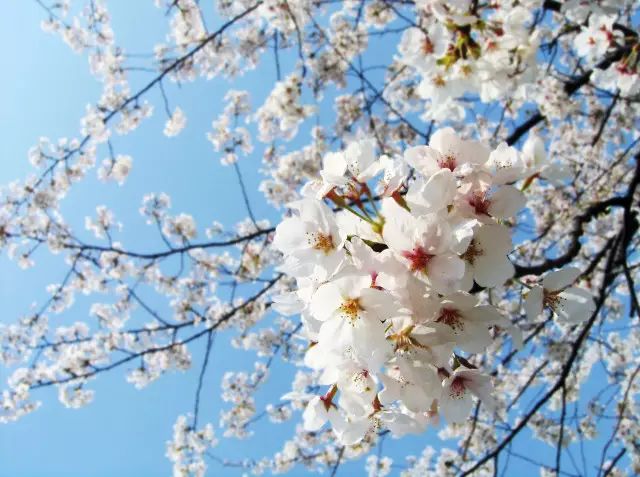 学校内部创业项目 同济大学校内勤工助学创业项目招募啦！