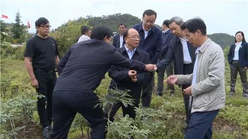 李小三到兰坪县调研强调:从严从实转变干部工作作风 一级抓一级 层层