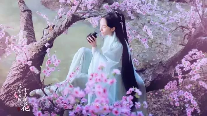 自从迷上由大幂幂主演的《三生三世十里桃花》后
