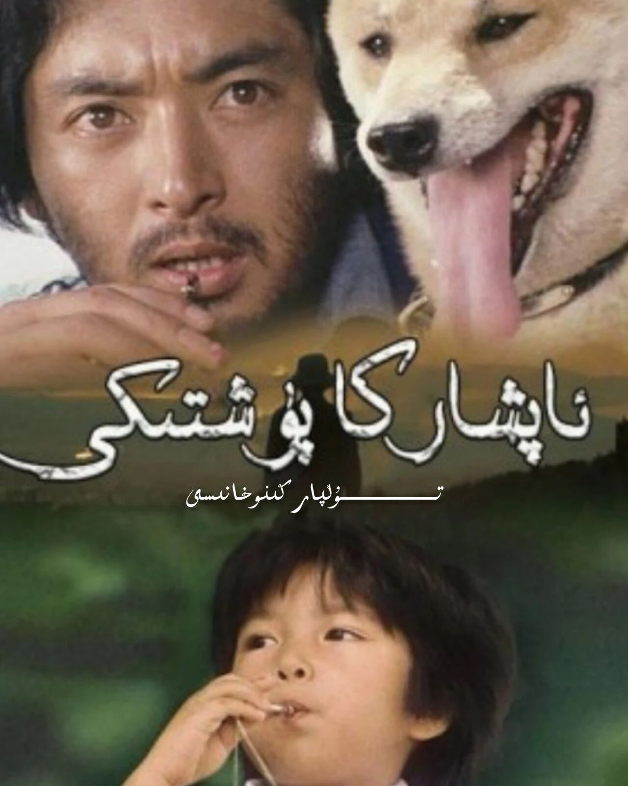 ئاپشاركا پۈشتىكى