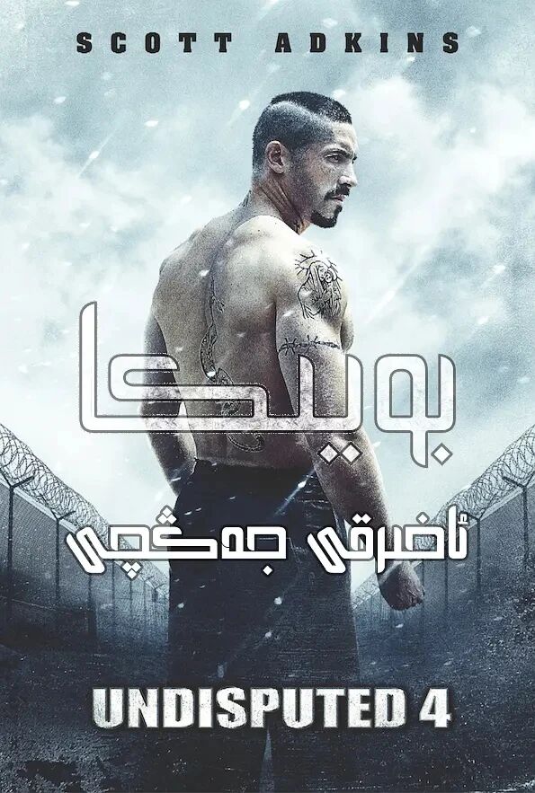 بويكا تولۇق توپلام ھەقسىز