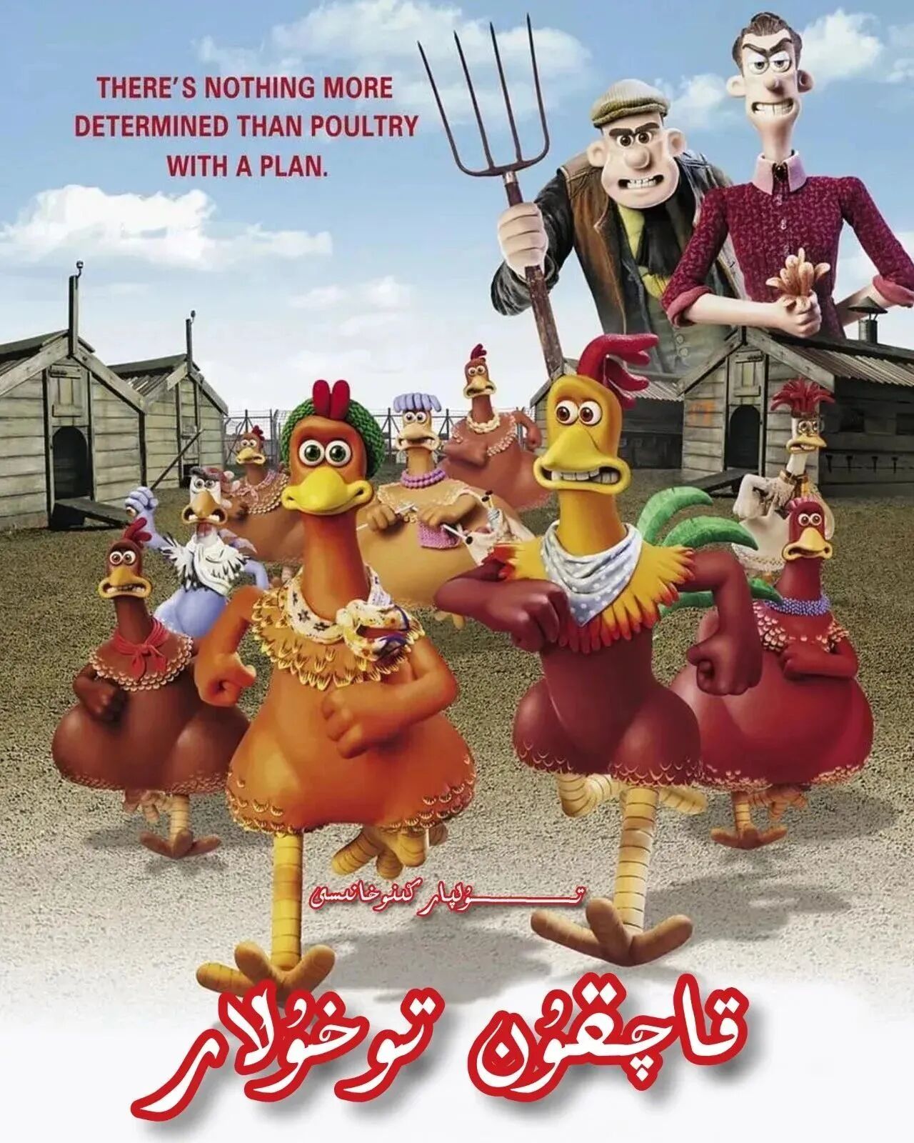 قاچقۇن توخۇلار ھەقسىز