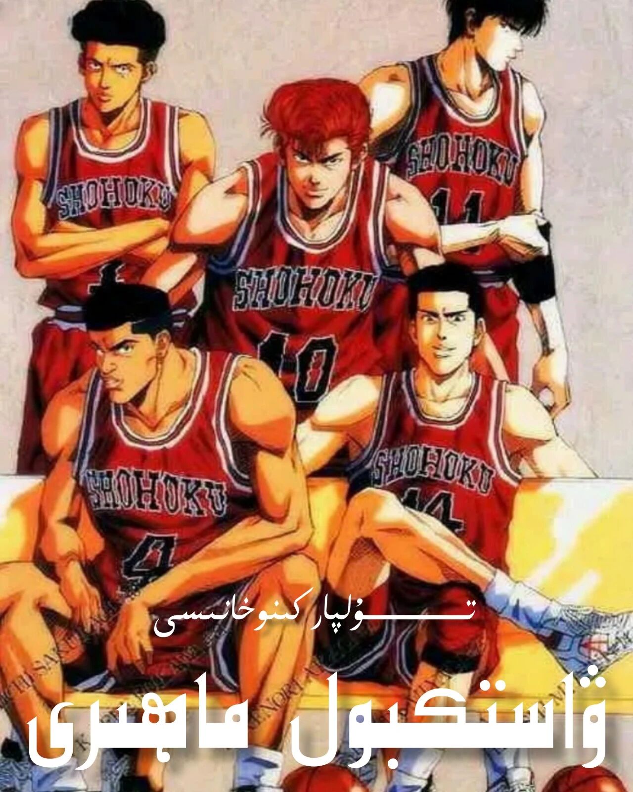 ۋاستىكبول ماھىرى