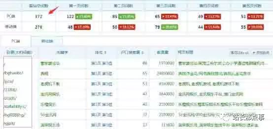 SEO独家揭秘之灰色行业优化排名