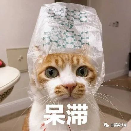 豪门宫斗20年,她是真惨 更美 微信公众号文章