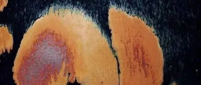 ���⻨������������֮ҹ���ŵ�����֮��ͼƬ