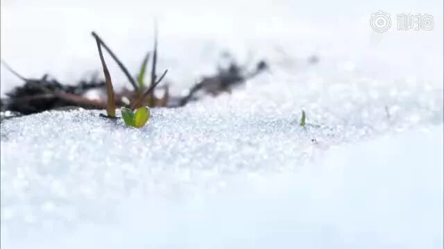 一起走进大美黑龙江！⭐中国24小时丨黑龙江篇-1